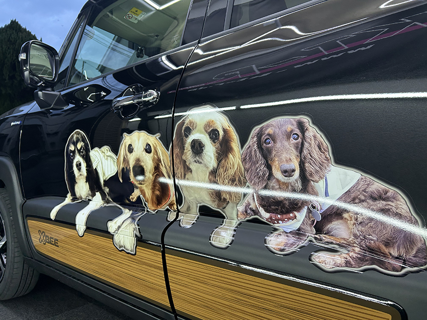 �y�b�g���q�l�摜-7