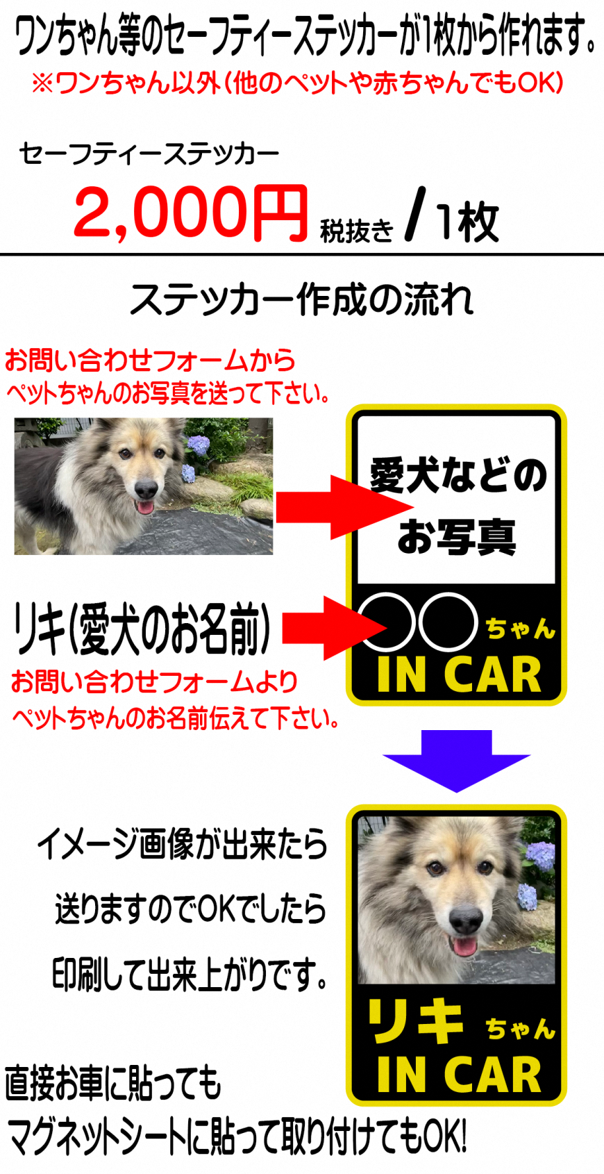 ���������Z�[�t�e�B�[�X�e�b�J�[�ڍ׉摜